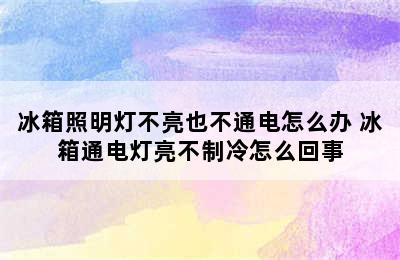 冰箱照明灯不亮也不通电怎么办 冰箱通电灯亮不制冷怎么回事